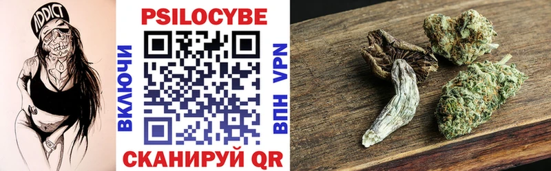 Псилоцибиновые грибы Psilocybine cubensis  Заволжье 