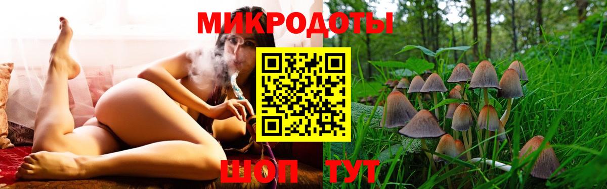 Галлюциногенные грибы Psilocybine cubensis Заволжье