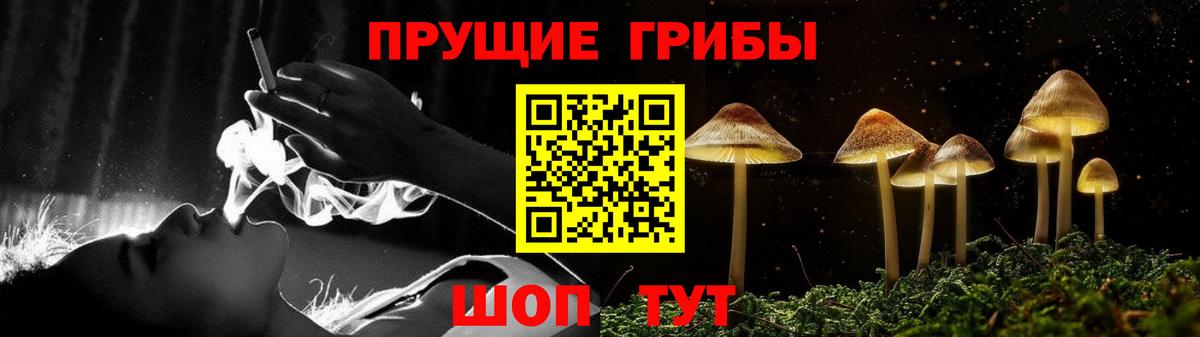 Псилоцибиновые грибы Magic Shrooms Заволжье